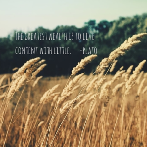 Wheatfield_Content_With_Little